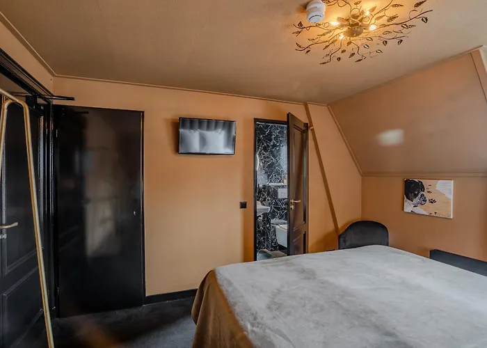 Гостевой дом Boutique Code Rose Нордвейк-ан-Зее